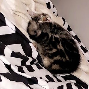 Meet your Posher, Luis